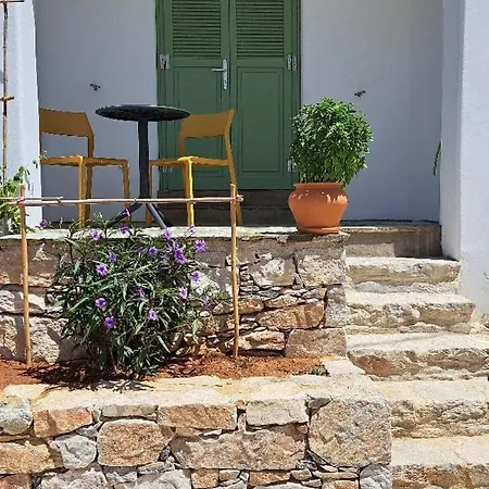 Lavender 카타폴라