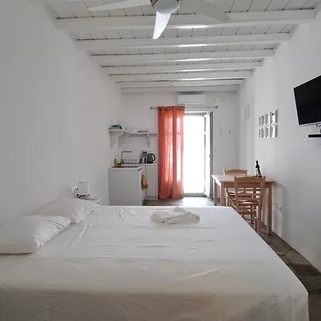 Lavender 카타폴라