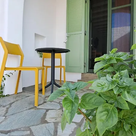 Lavender * 카타폴라