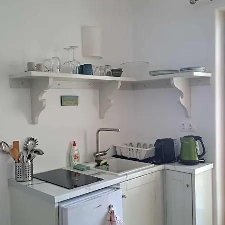 Lavender * 카타폴라