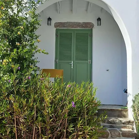 Lavender * 카타폴라