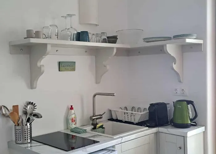 Lavender * Katápola