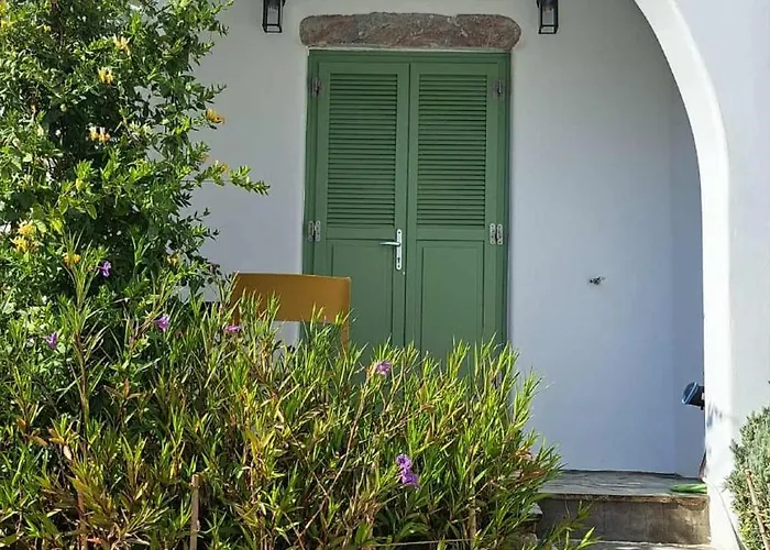 Lavender * Katápola